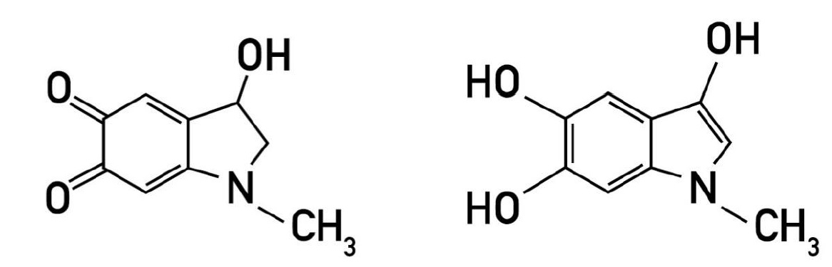 Adrenochrome and adrenolutin