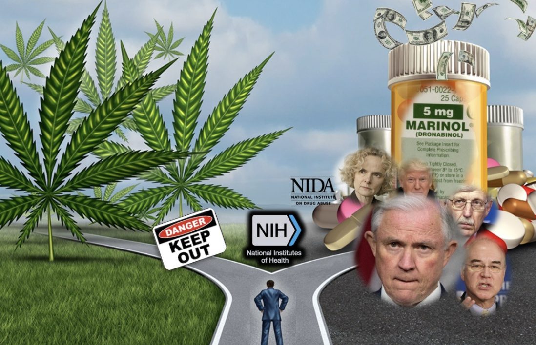 Cannabis Science vs Fiction